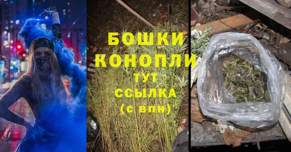 ГАЛЛЮЦИНОГЕННЫЕ ГРИБЫ Пересвет