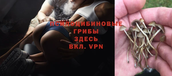 ГАЛЛЮЦИНОГЕННЫЕ ГРИБЫ Пересвет