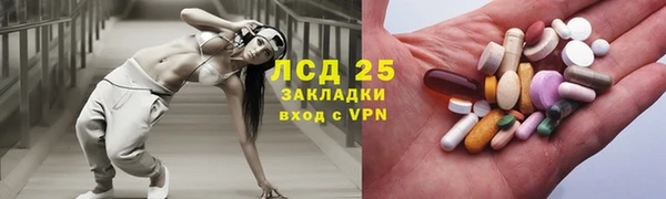 ГАЛЛЮЦИНОГЕННЫЕ ГРИБЫ Пересвет