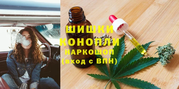 ГАЛЛЮЦИНОГЕННЫЕ ГРИБЫ Пересвет