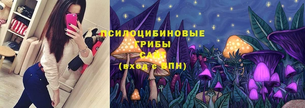 ГАЛЛЮЦИНОГЕННЫЕ ГРИБЫ Пересвет