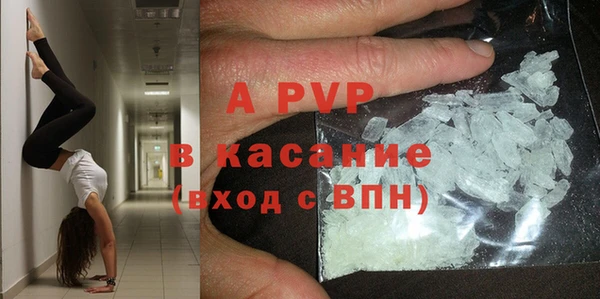 ГАЛЛЮЦИНОГЕННЫЕ ГРИБЫ Пересвет