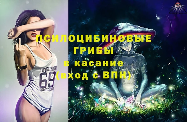 ГАЛЛЮЦИНОГЕННЫЕ ГРИБЫ Пересвет