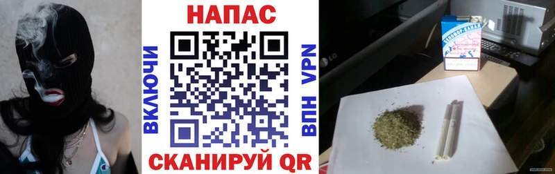 Бошки марихуана сатива  Купить закладки  Суворов 